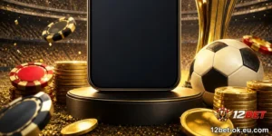 xe limosine hà nội cái rồng đón tận nhà | 12BET - hình ảnh - 12bet-ok.eu.com